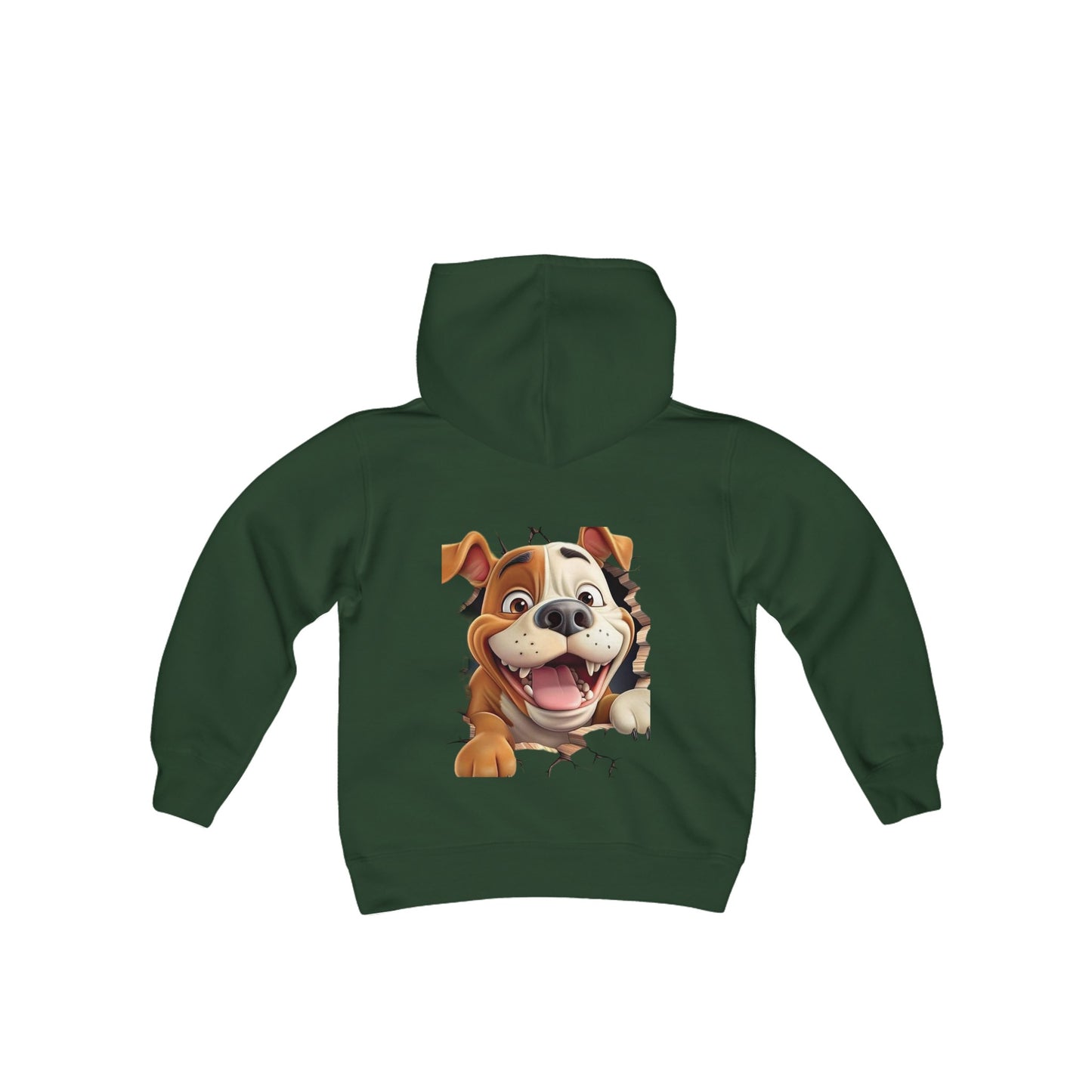 Sweatshirt boy