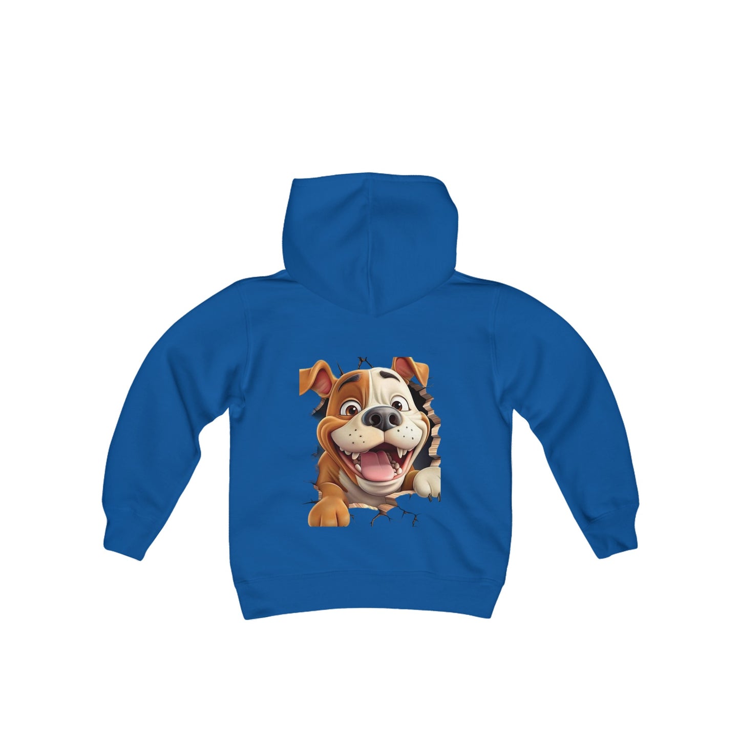 Sweatshirt boy